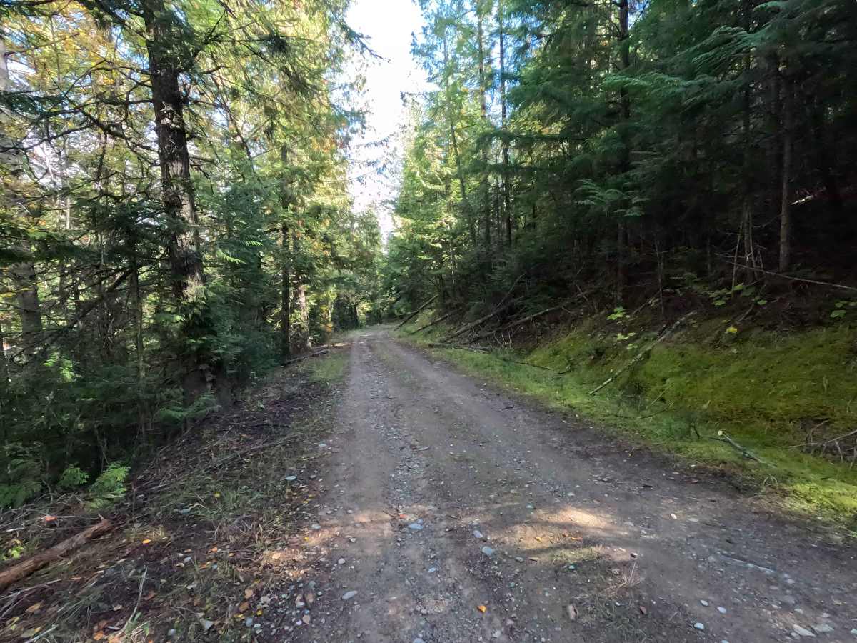 John’s Creek - FS 2200500 photo 3