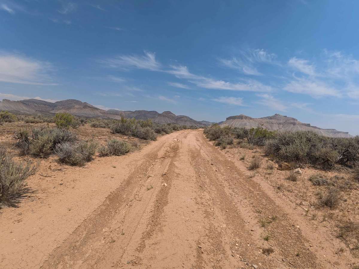 BLM 117 photo 3