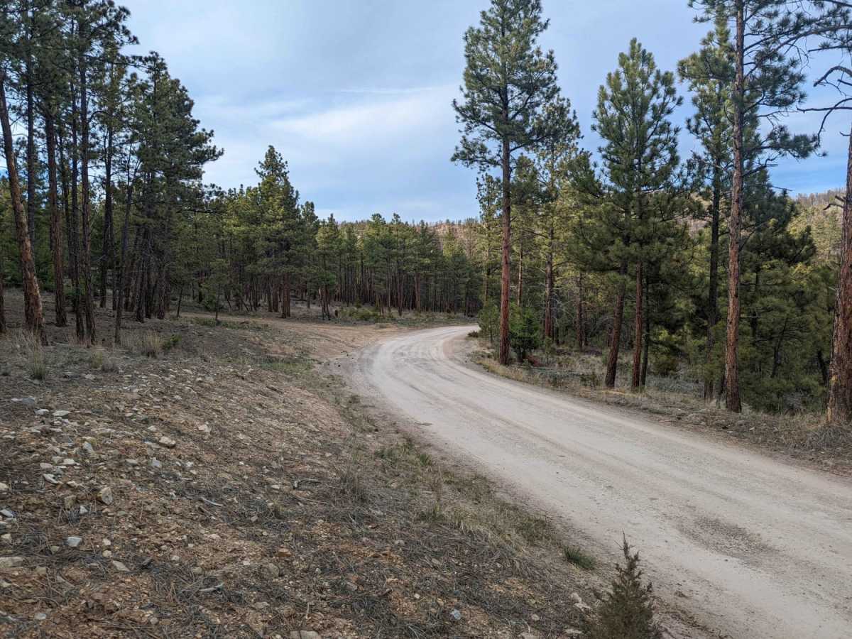 North Hills Recreation Area photo 4