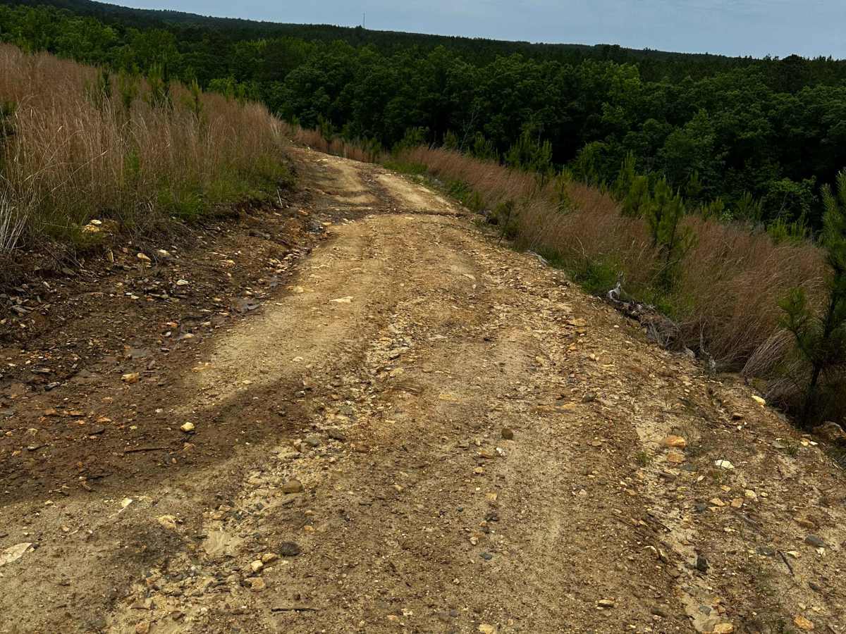 Trail 36 Hill photo 6