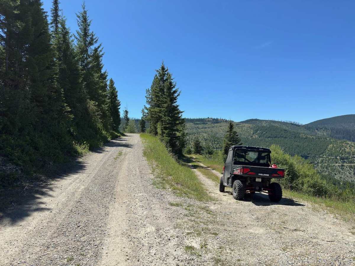 Black Bear trail photo