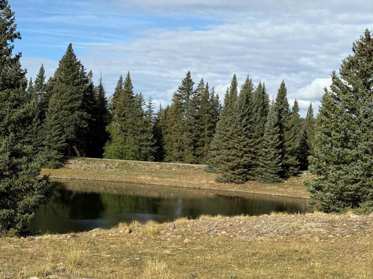 Rainbow Lake Spur photo 3