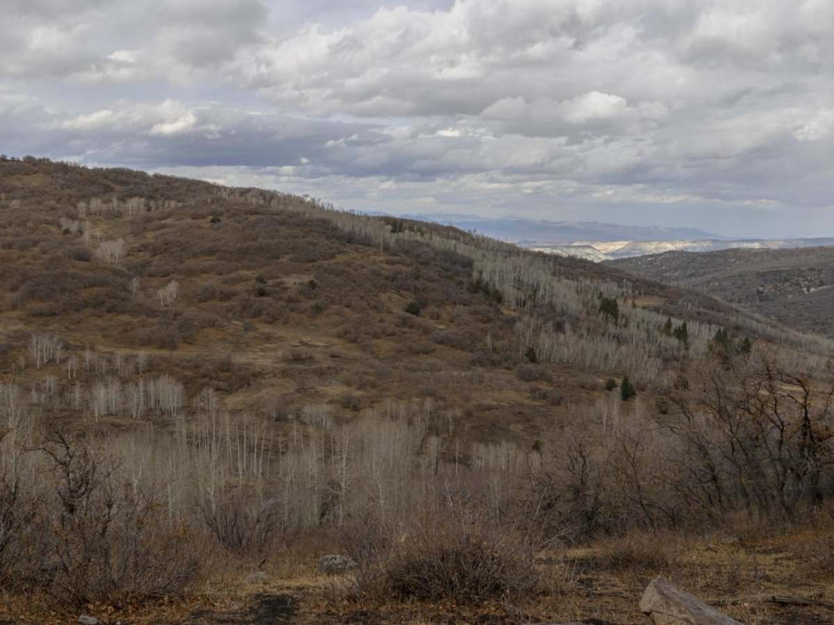 Sheep Creek Road trail photo