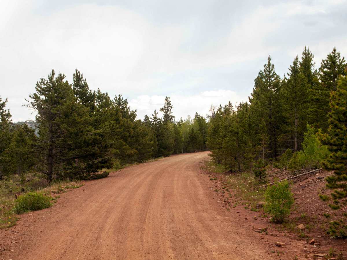 North Slope Thornburg - FS 10058 photo 5