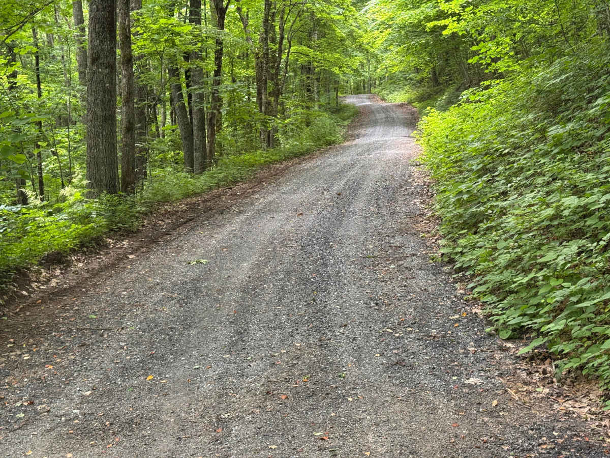 Sugar Creek Gap - FS 4665 photo 5