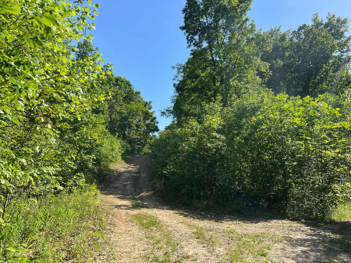 KC20A trail photo