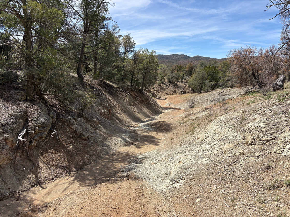 Trail 902 photo 4