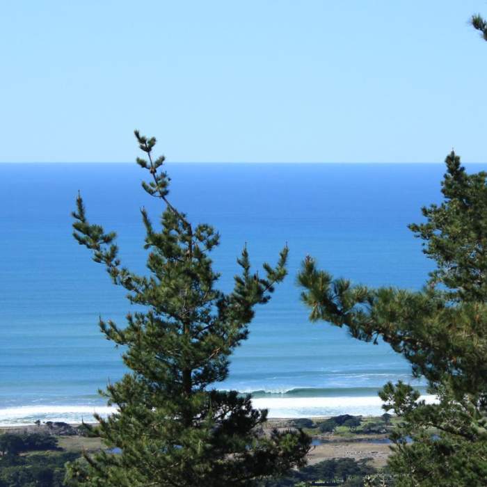 Near Mori Ridge Trail