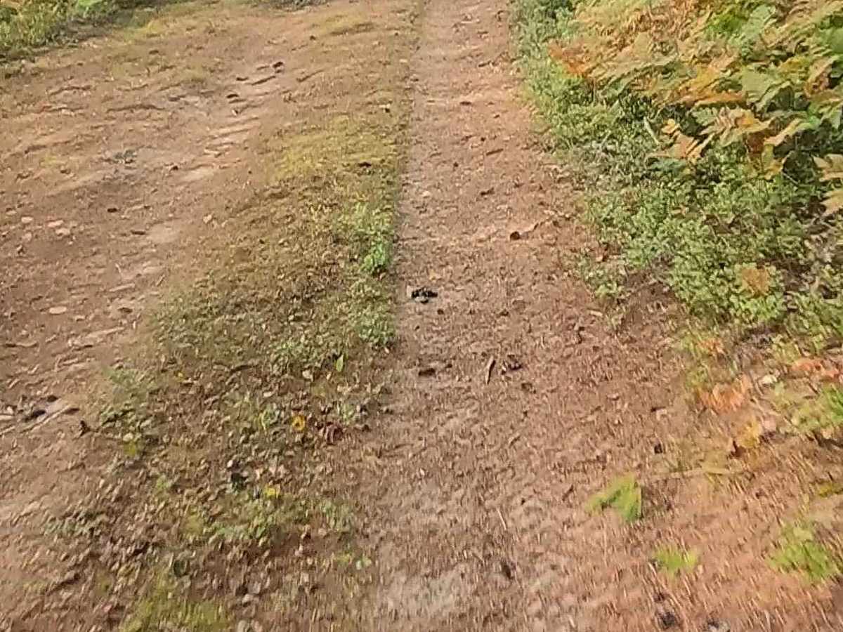 Orchard Hill Road trail photo