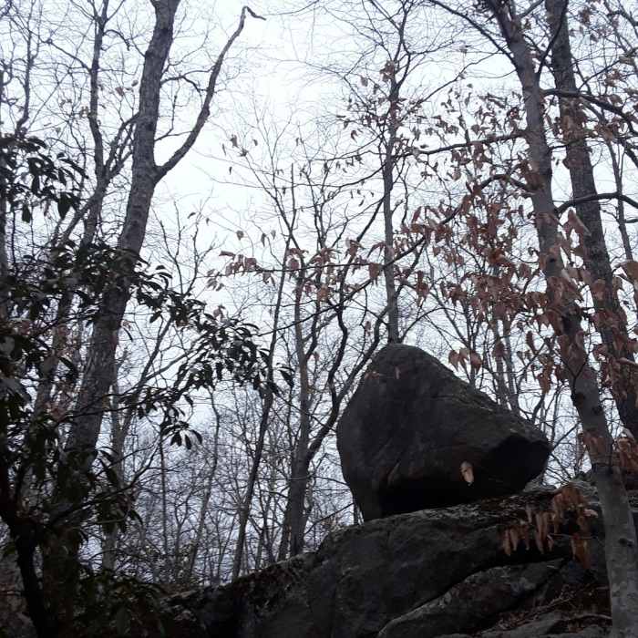 There are many glacial erratics to come across. Near Table Rock - Canonchet Preserve