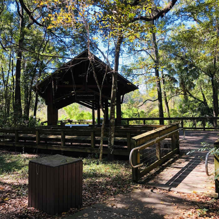 Near Bivens Arm Nature Park Loop