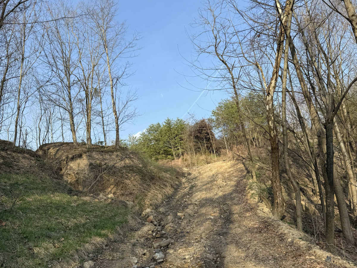 Q21 photo 2