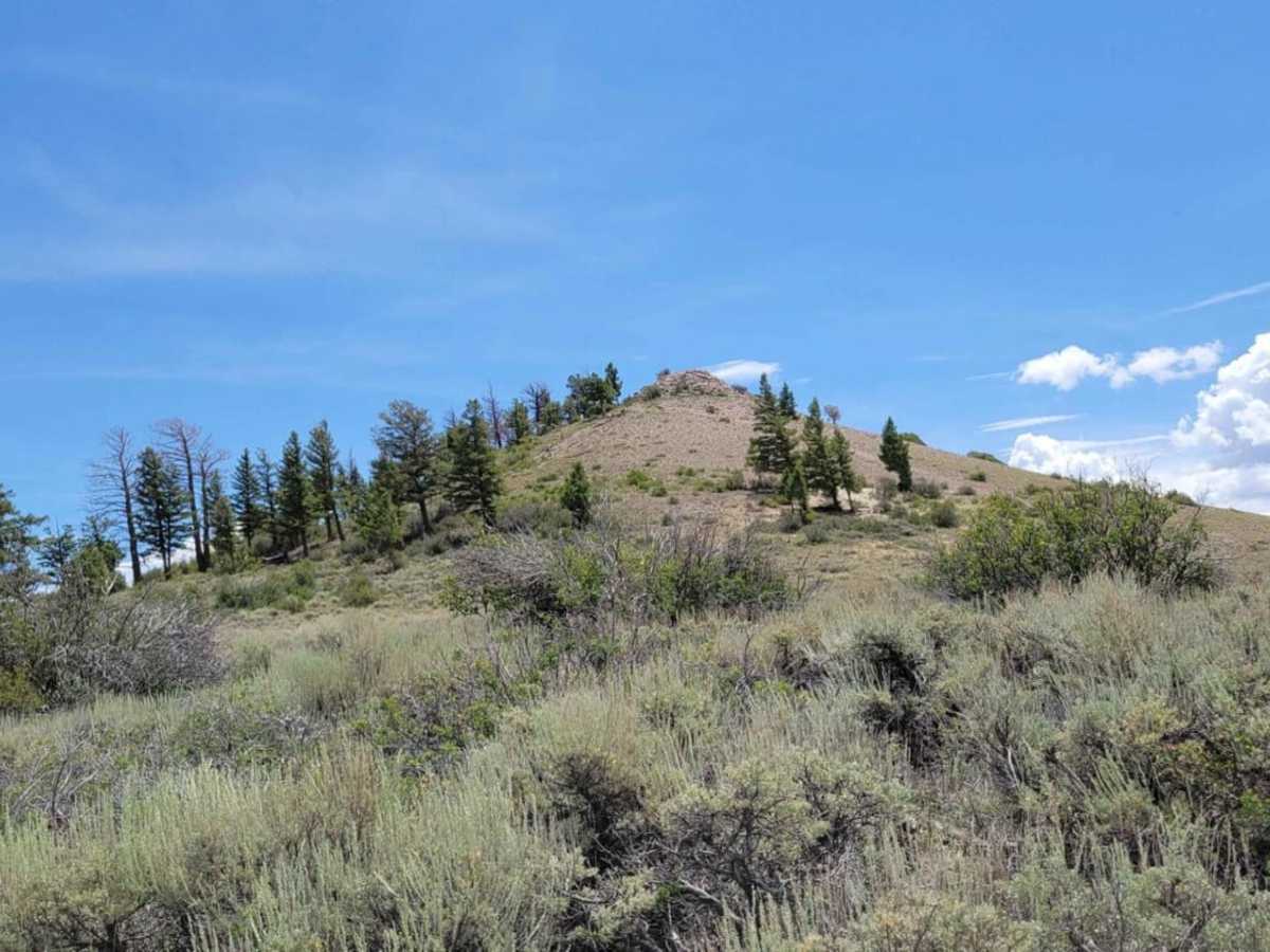 Signal Peak trail photo
