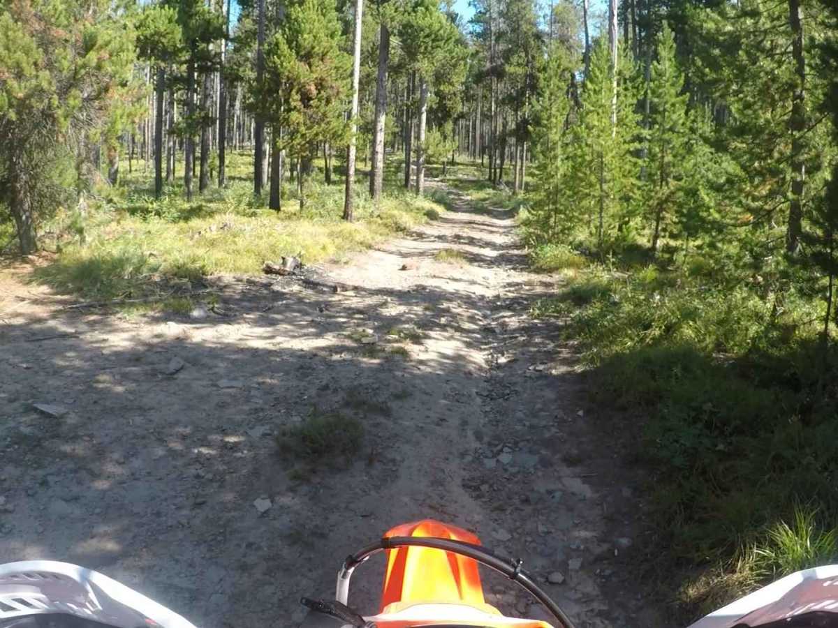 FS 313 North photo 2