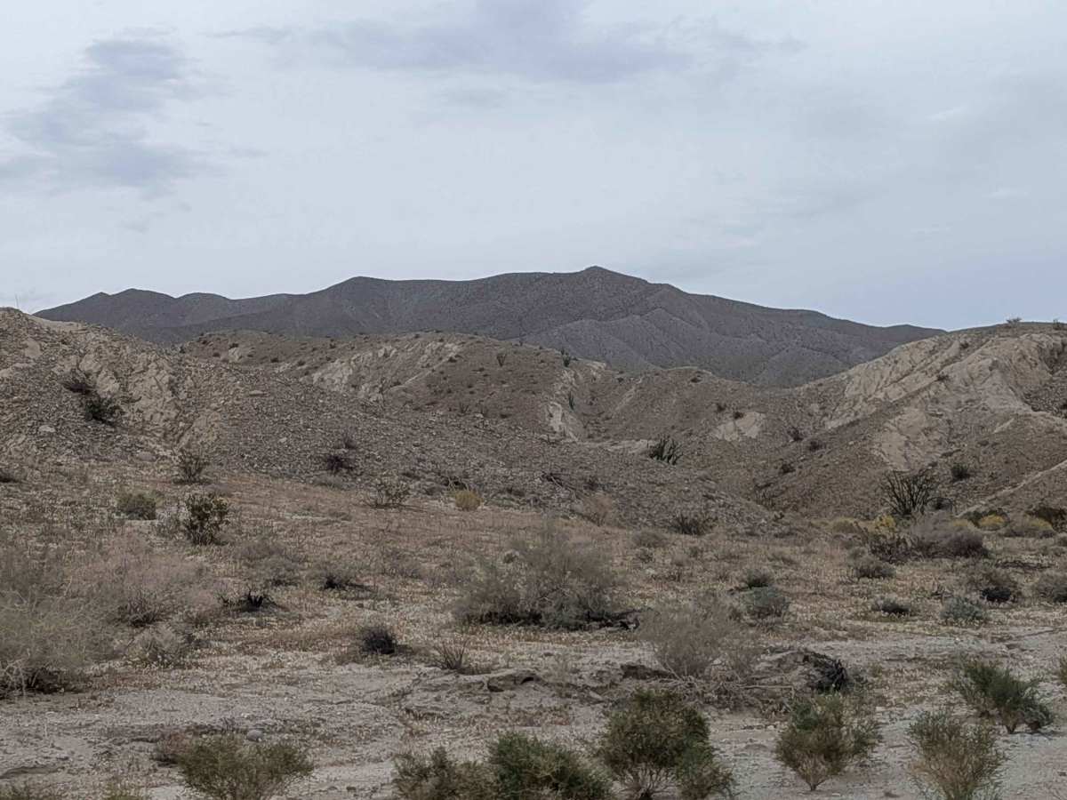 Coachwhip Canyon photo 5