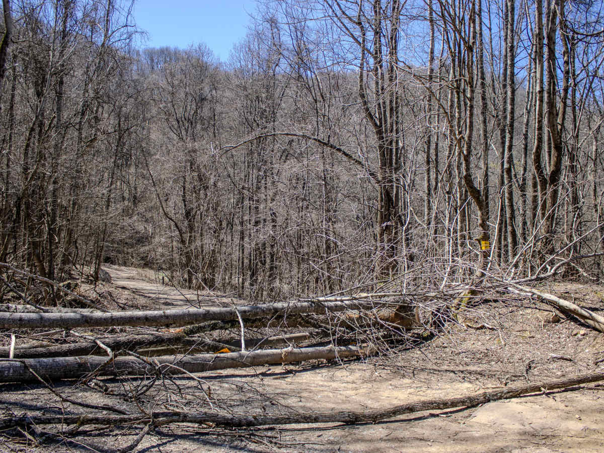Cross Mountain Road photo 3