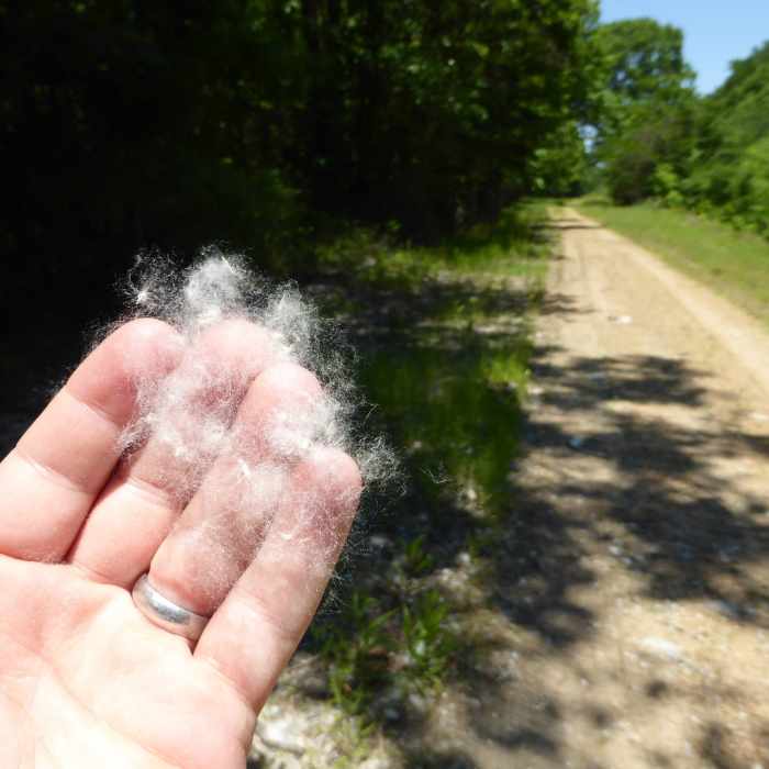 Near Hillside National Wildlife Refuge Trail