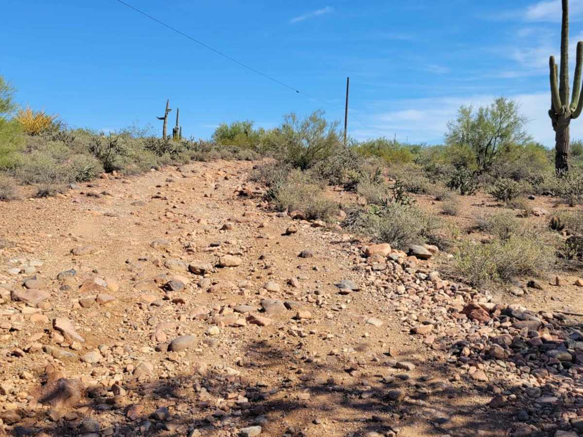 Cactus Express photo 5