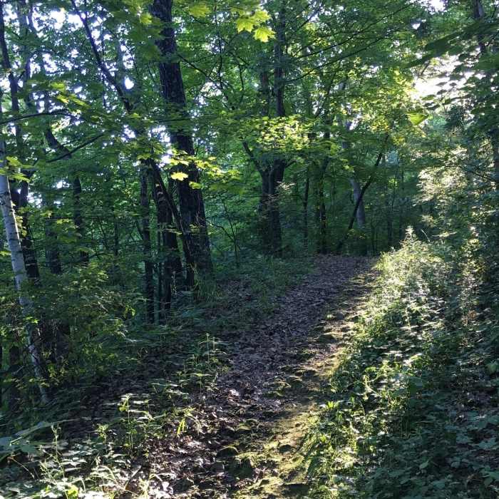 Near Hass Connector