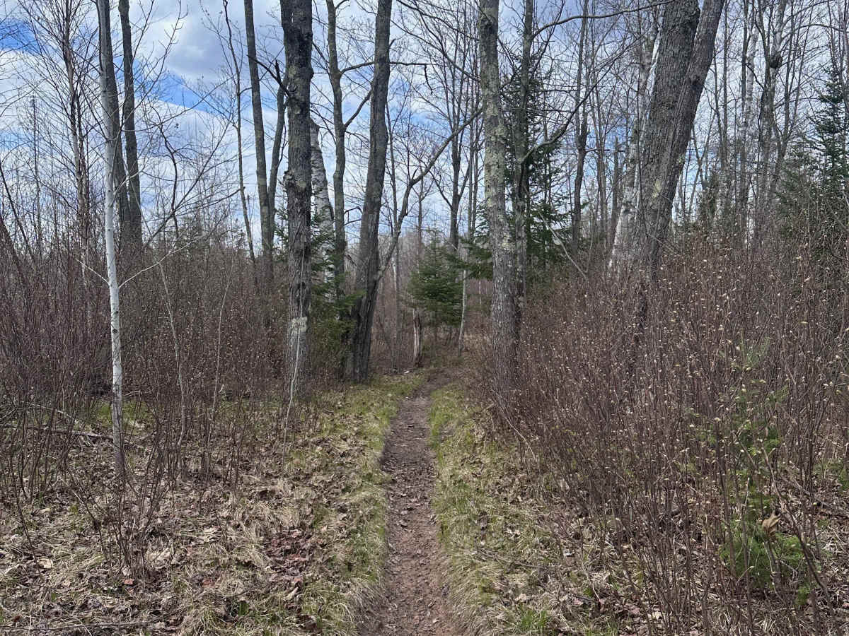 Corduroy Trail photo 3