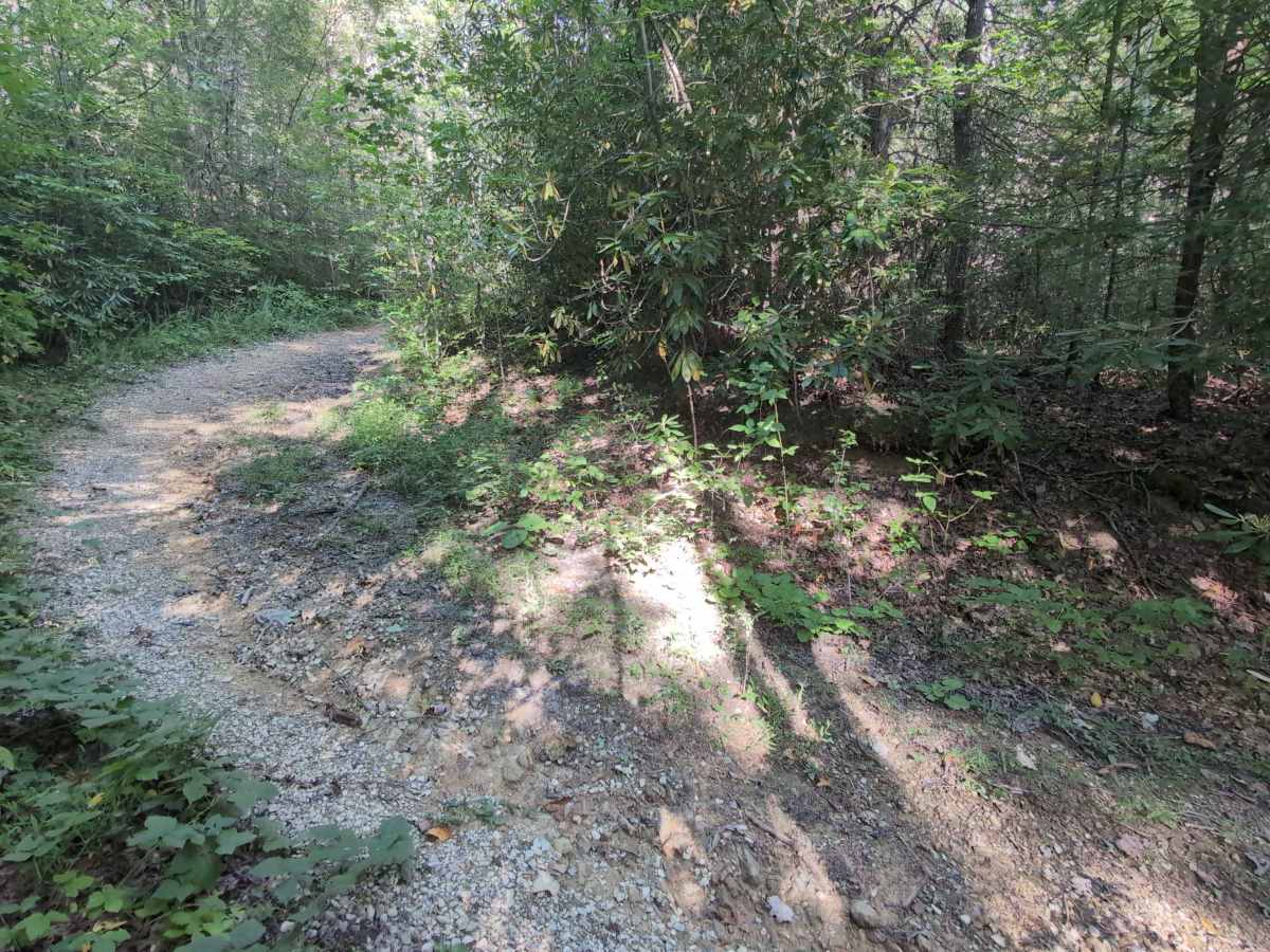 Virginia Highlands Horse Trail photo 4