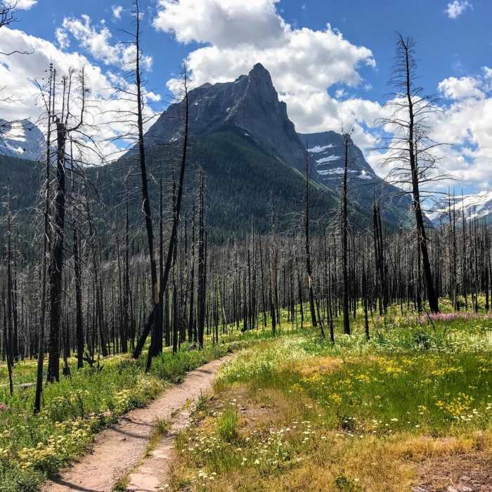 Near Saint Mary Falls