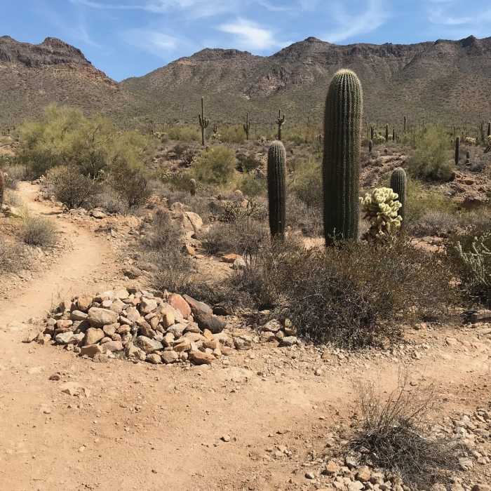 Look for a fork in the trail. This one is more pronounced than many others. Near Bulldog Canyon Saddle and Pass Mountain Trail Loop