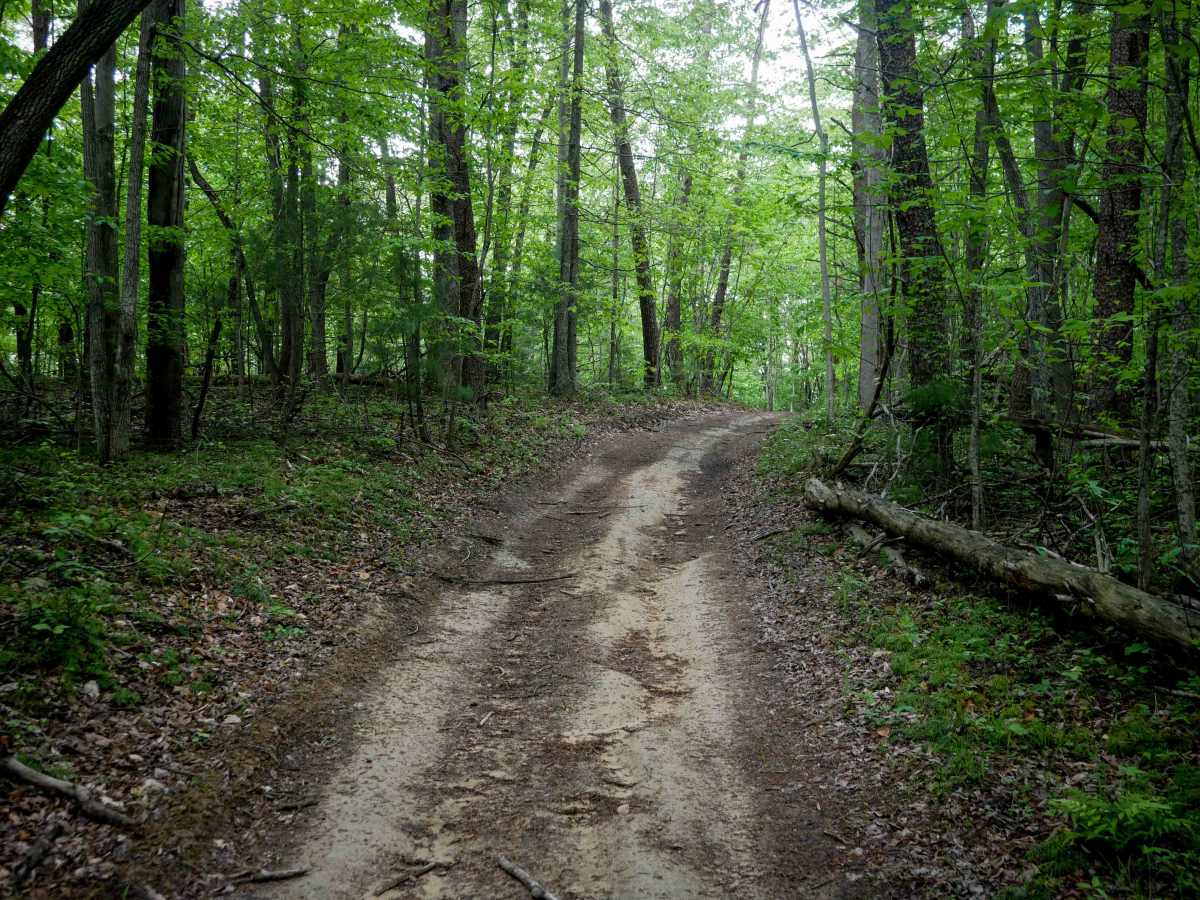 Trail 9 photo 3