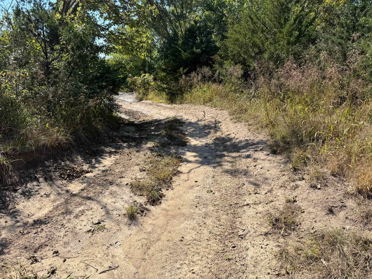 Mud Flap Meadow photo 2