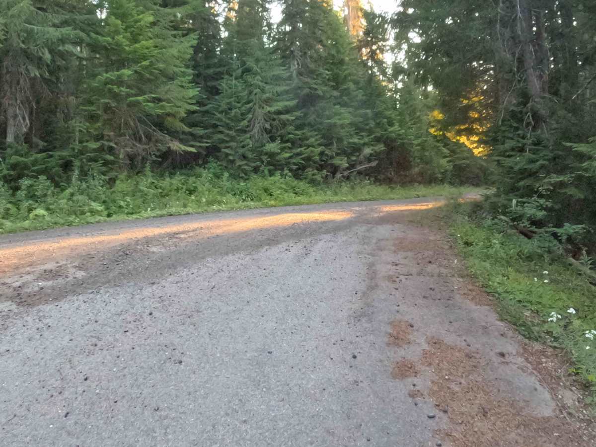 Parks Creek Road - FS 2067560  photo 3