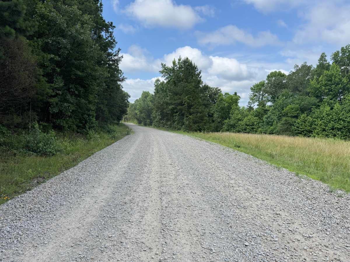 County Road 3880 photo 3