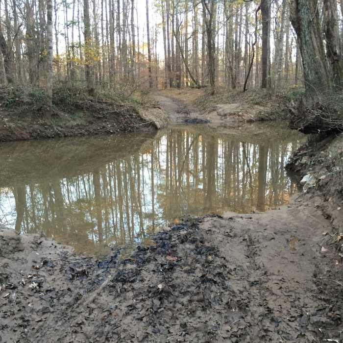 Near North Turkey Creek Multiuse Trail