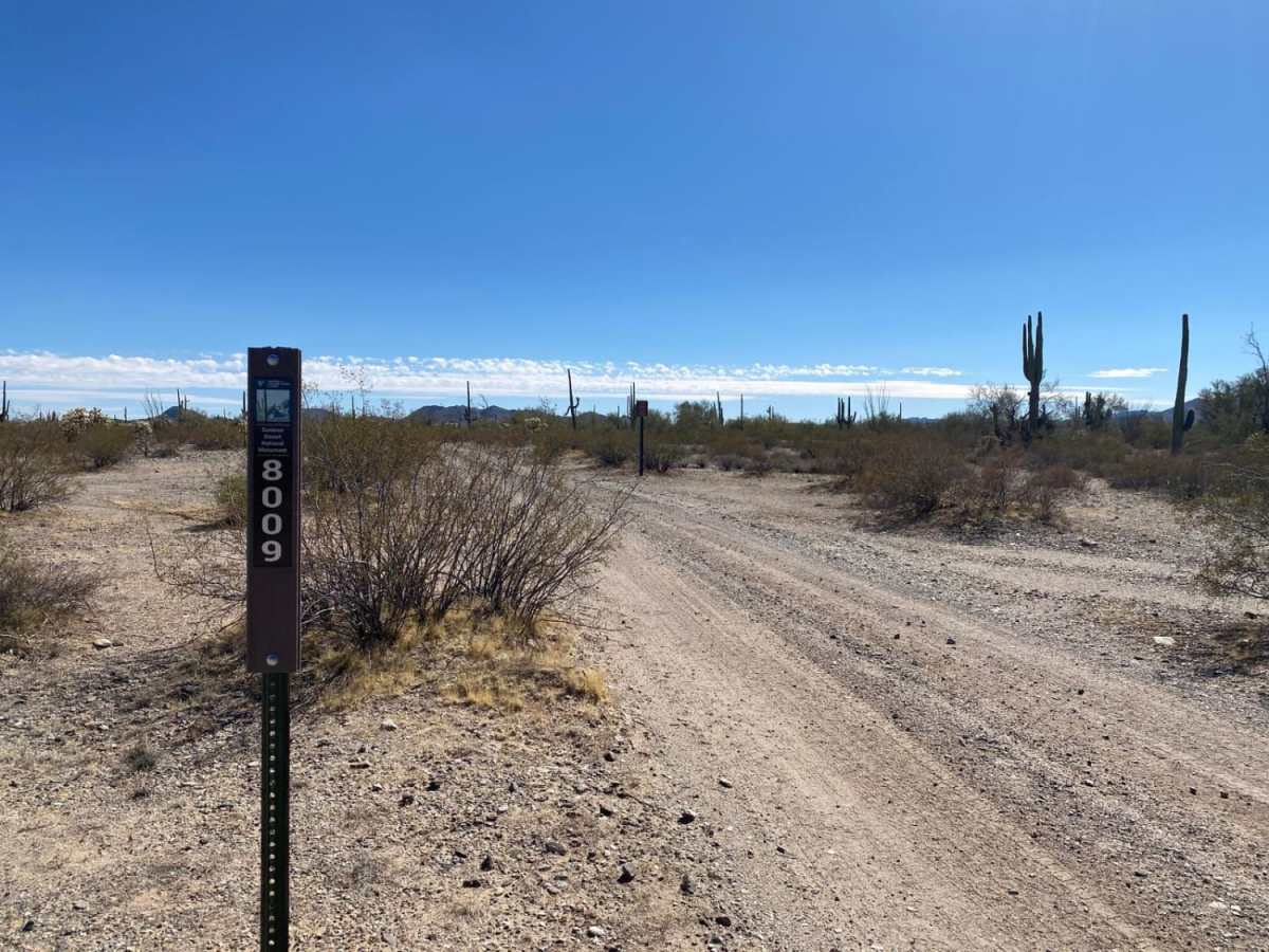 Sonoran Desert 8009 photo 2