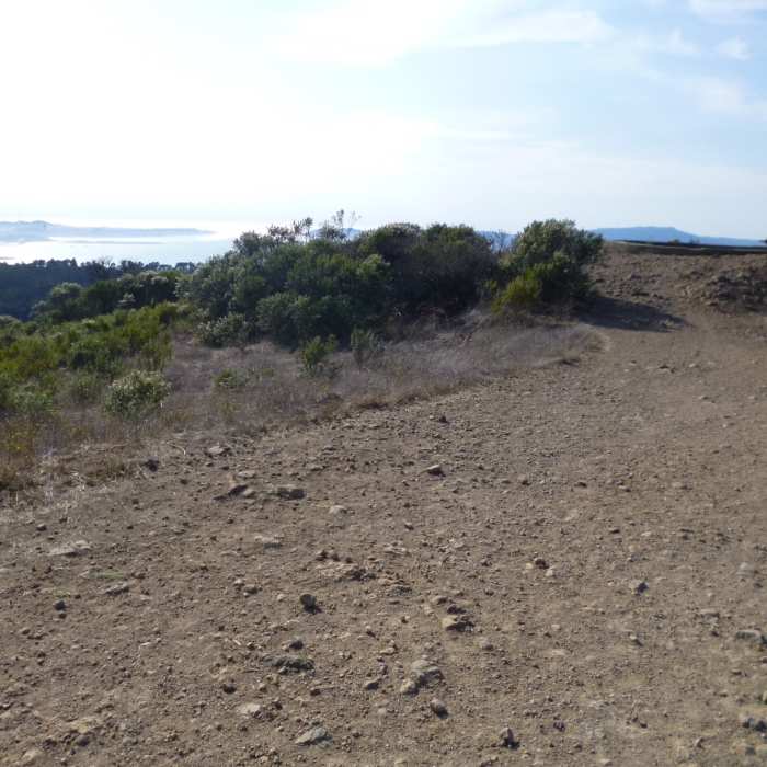 Near Seaview Trail