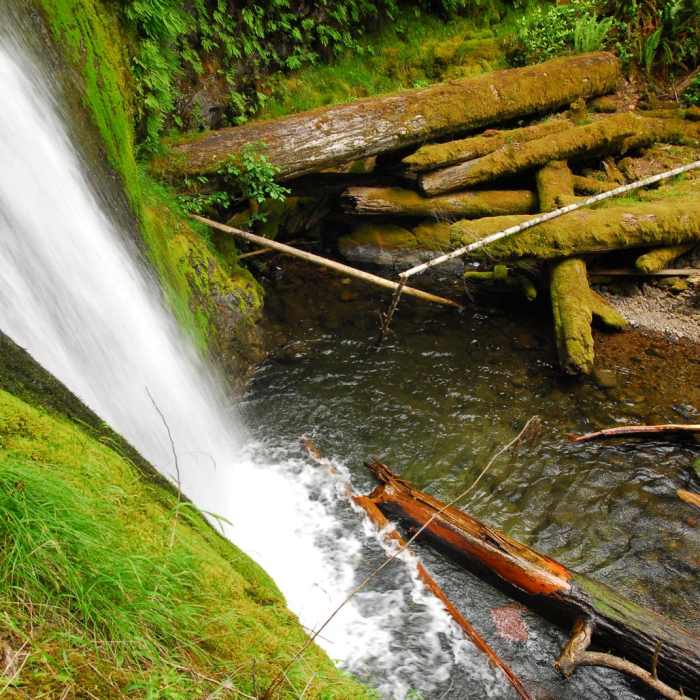 Near Camp Creek Falls Hike