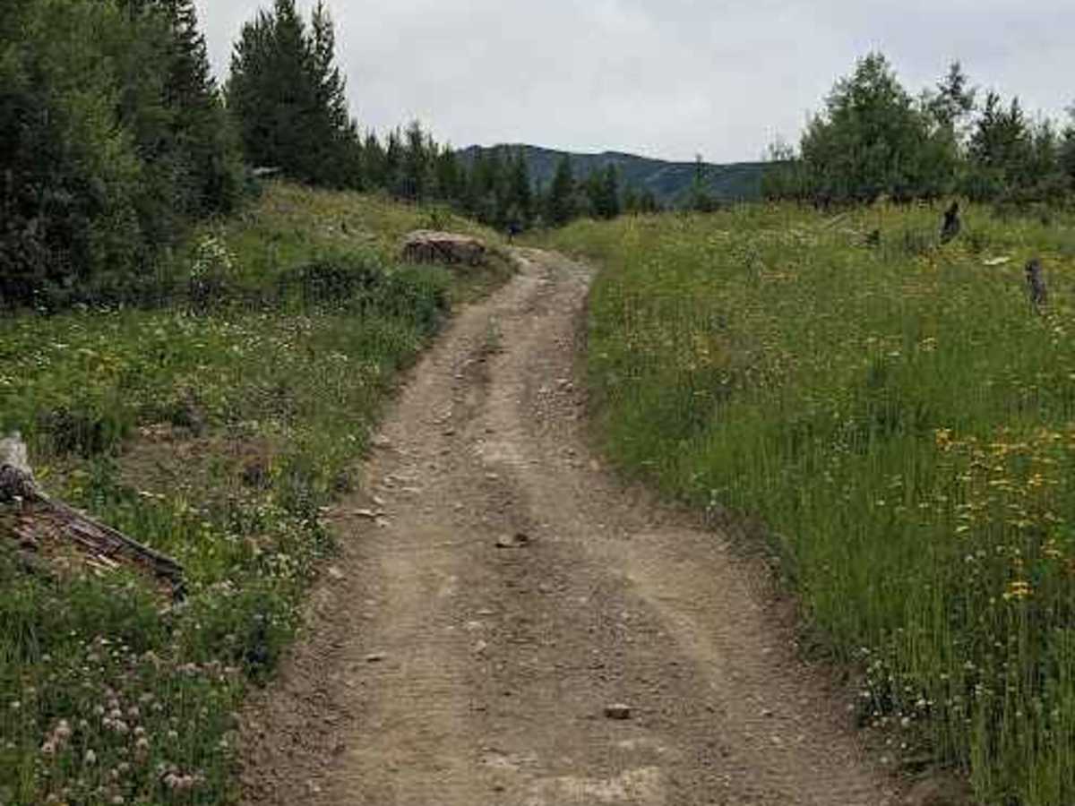 Lyons Creek Loop - Trail 105/102 photo 2