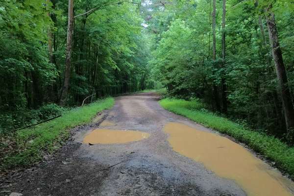Tharpe Hollow - FS 384