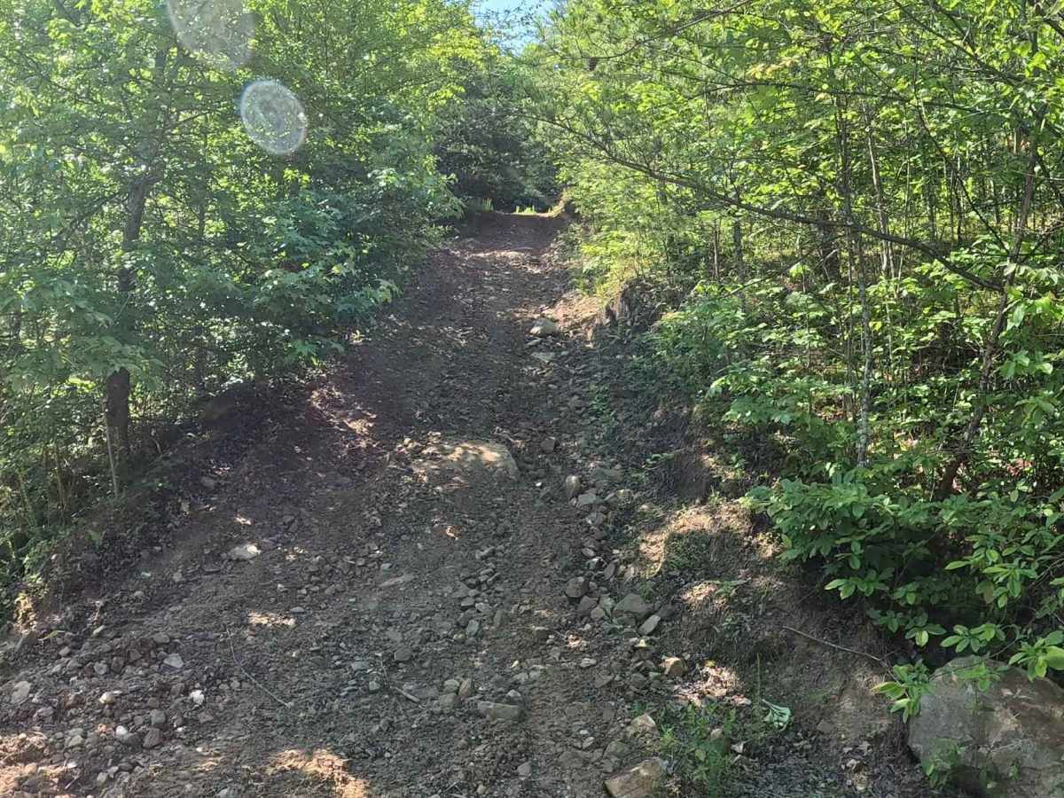 Q12 trail photo