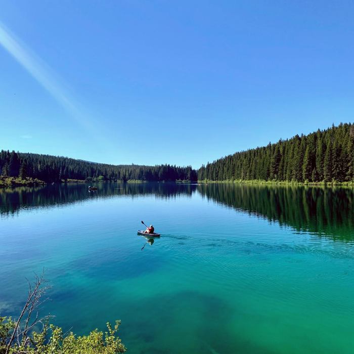 Near The McKenzie River National Recreation Trail (No. 3507)