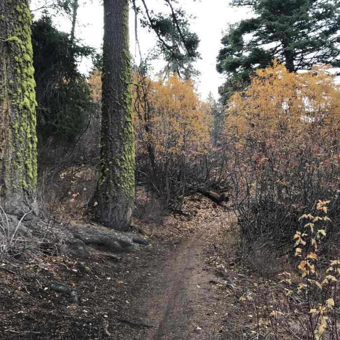 Near Truly Around the Mountain Bogus Basin