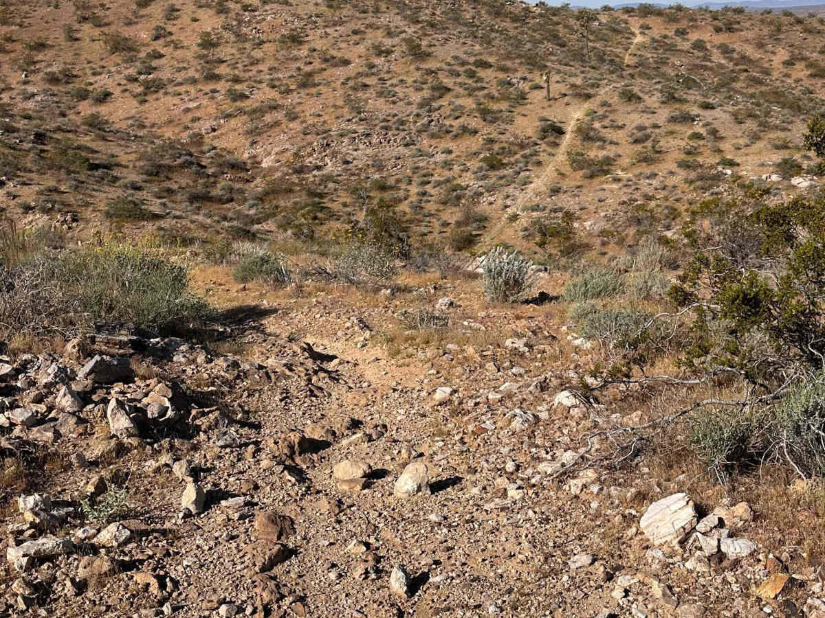 Cactus Ridge photo 5