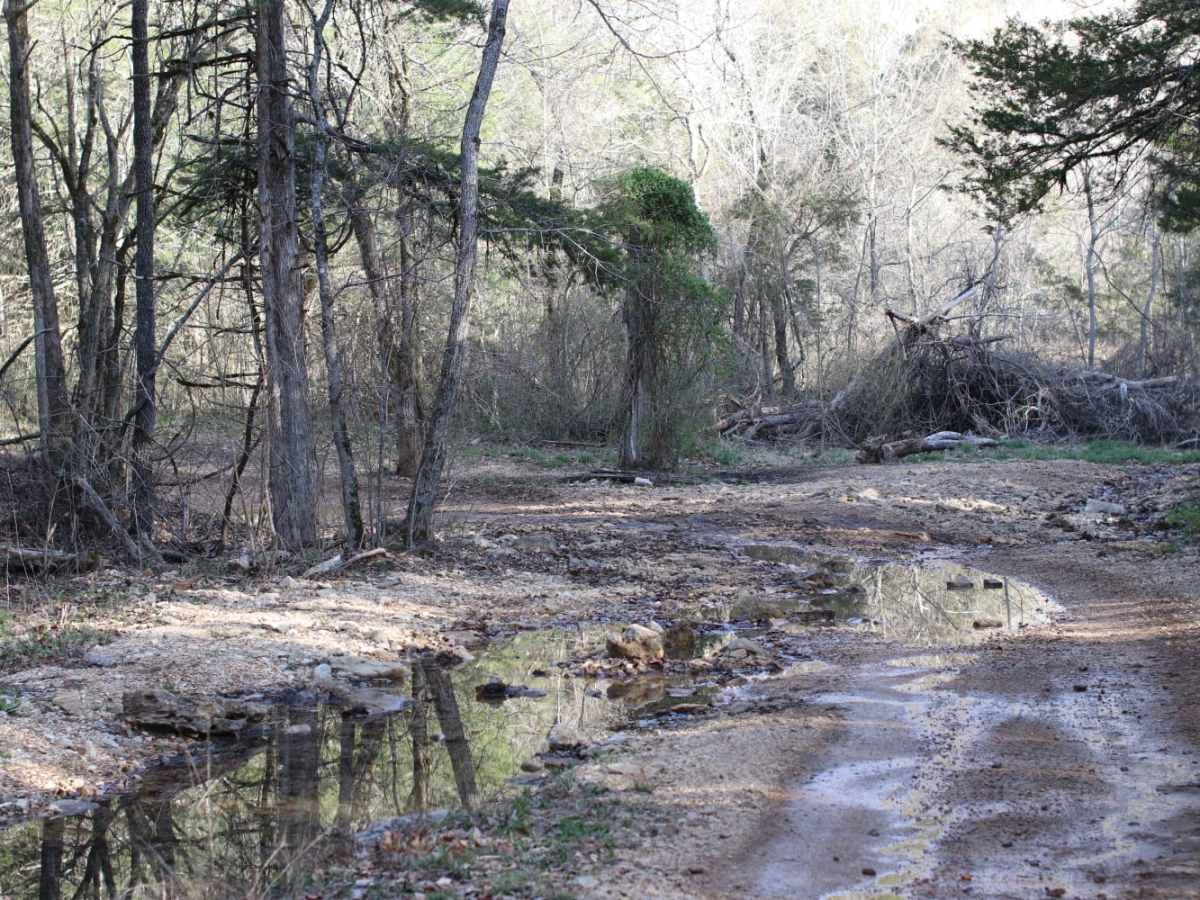 Lookout Road trail photo