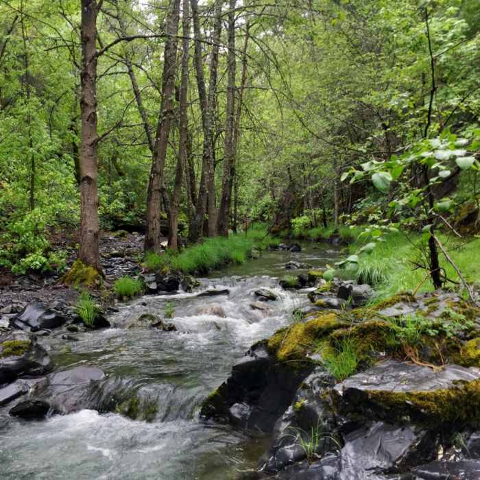 Near Snow Mountain via Deafy Glade