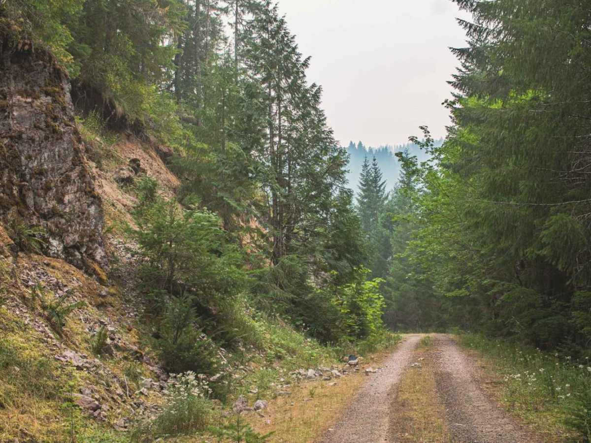 Cook Creek photo 3