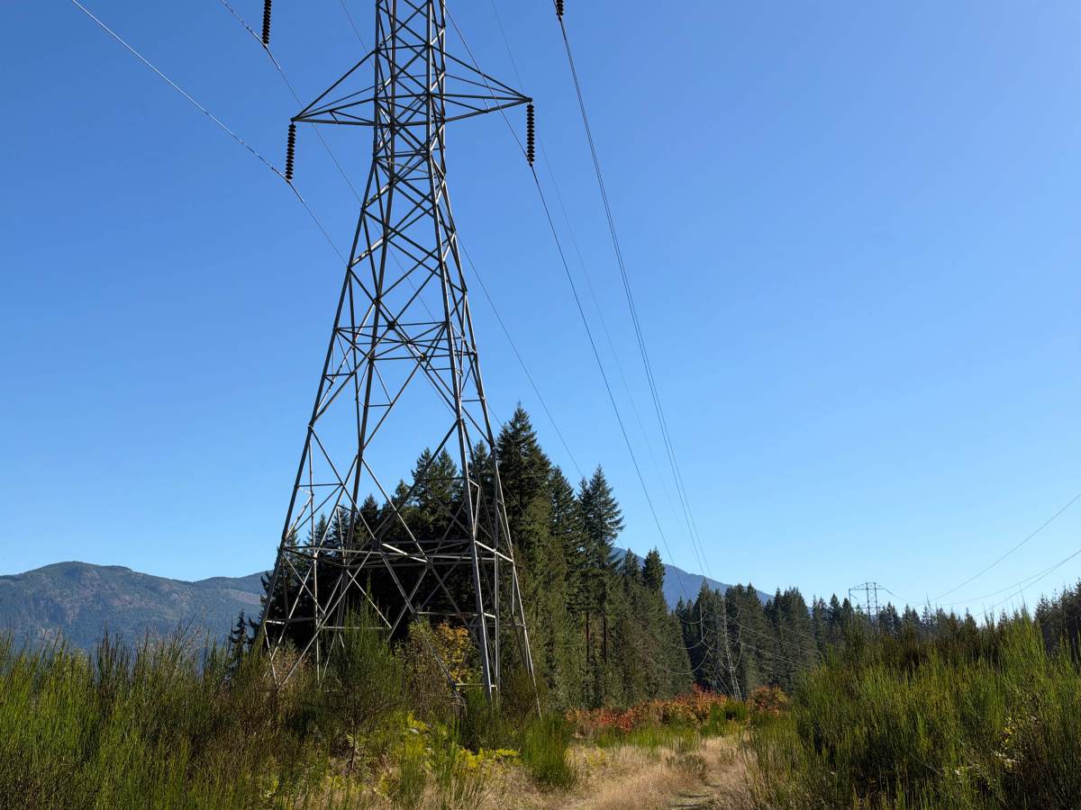 Powerline Loop photo 3