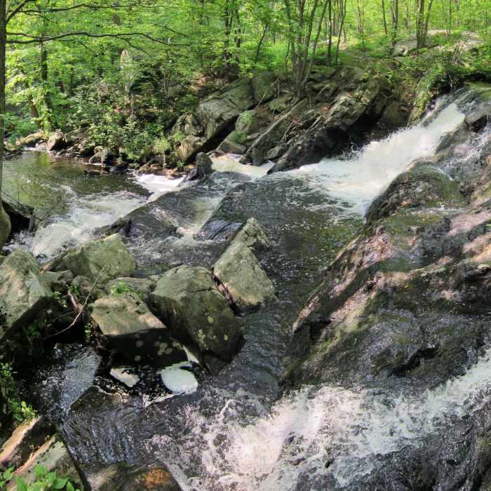 Near Hewitt-Butler Trail