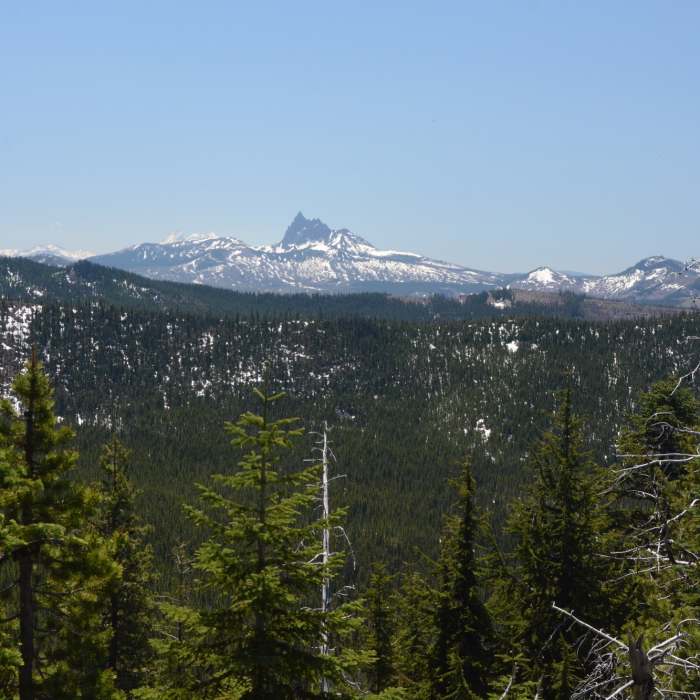 Near Grizzly Peak Trail #3428