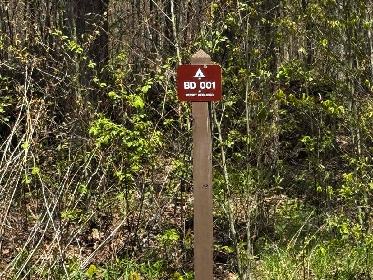 Big Dam Hollow Road photo 5