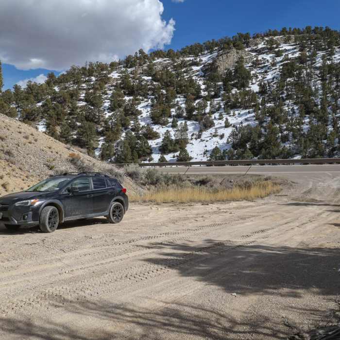 Near Saxton Peak - South Trail