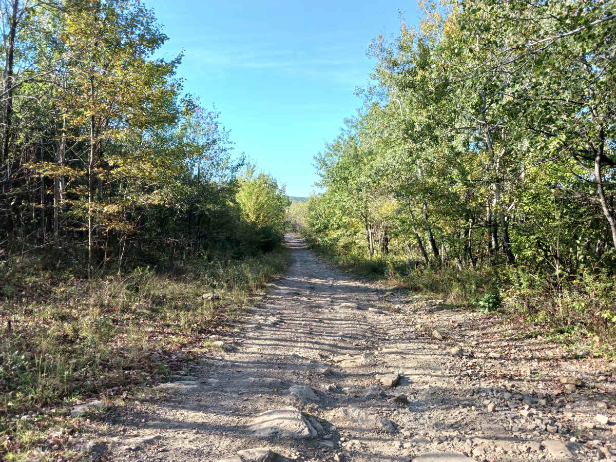 Inner Loop - West - Rock Run Recreation Area photo 6